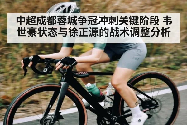 中超成都蓉城争冠冲刺关键阶段 韦世豪状态与徐正源的战术调整分析 - KAIYUN SPORTS