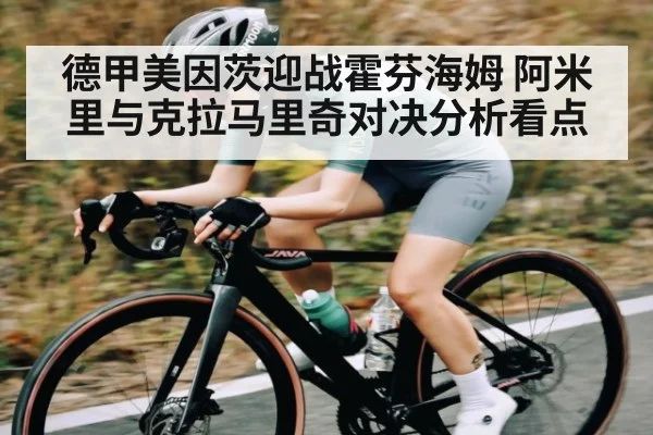 德甲美因茨迎战霍芬海姆 阿米里与克拉马里奇对决分析看点 - KAIYUN SPORTS